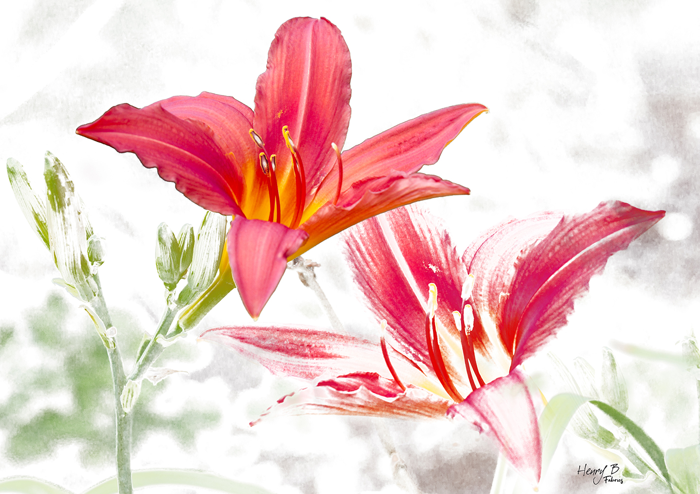 lily-red-placemat-1